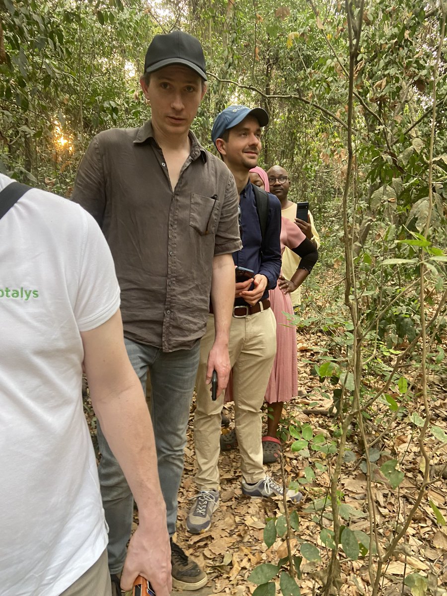 IITA Forest Center tweet media