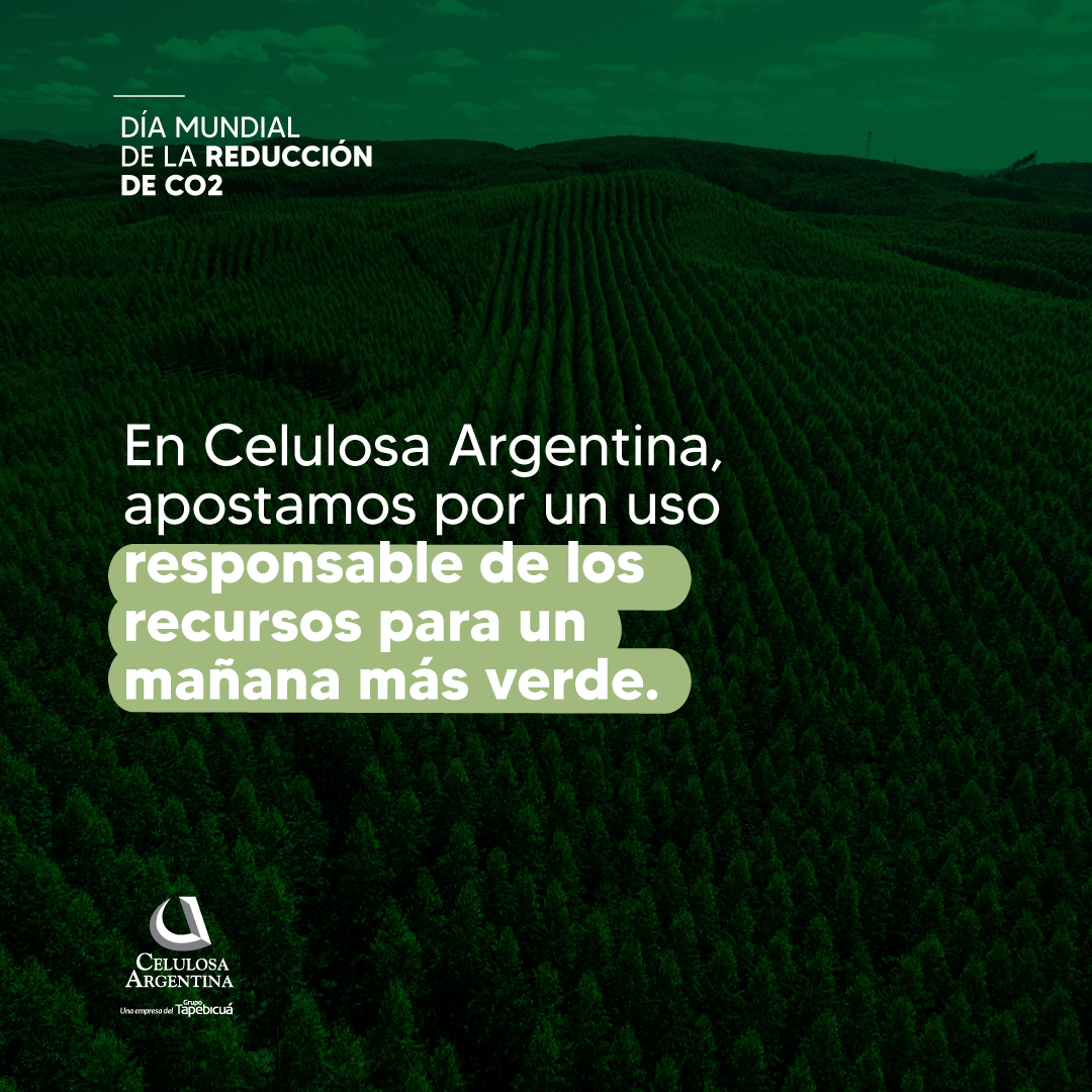 Hoy es el Día Mundial de la Reducción de CO2. ¿Sabés por qué es importante reducirlo?
Deslizá para saber más y para conocer cómo, desde Celulosa Argentina, aportamos nuestro granito de arena 🌱

 #Sustentabilidad #CelulosaArgentina #ReducciondeCO2 #CuidemosElPlaneta #CO2