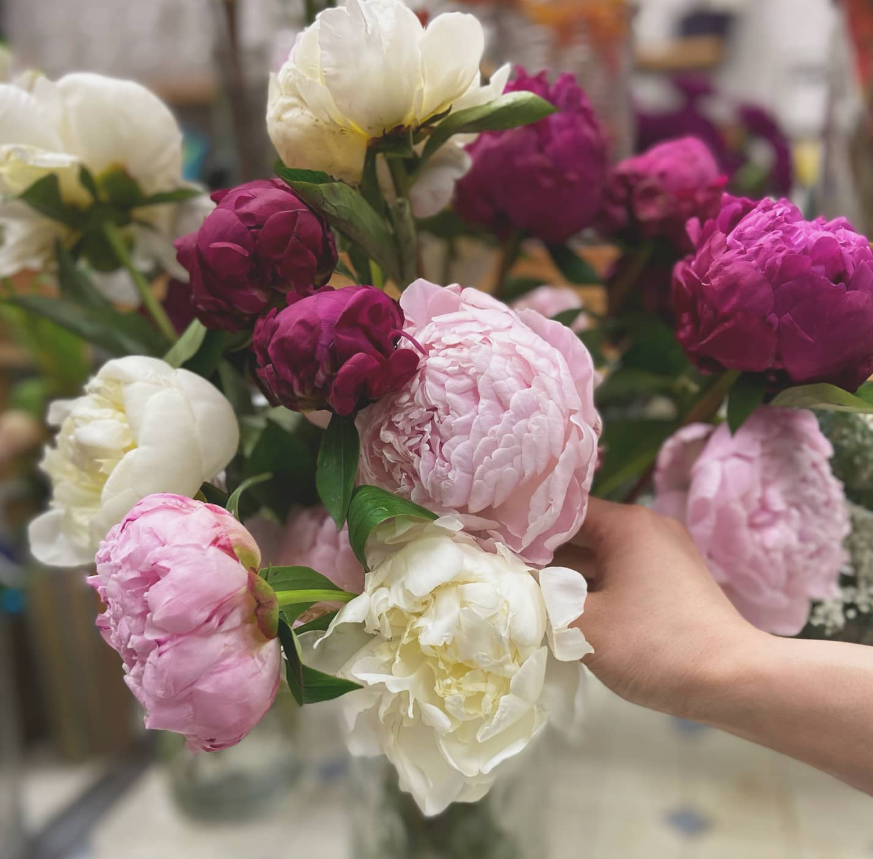 flowersjoyy's tweet photo. Peonies are back and they seem to be back early!!😍😍We are happy to announce our peonies floral selections are back! Come and visit our website for our artisan and carefully handcrafted peonies floral arrangements!💕😍

#myjoyflowershop #artisanflorist #localflorist #familyowned https://t.co/B38nn2UbA4