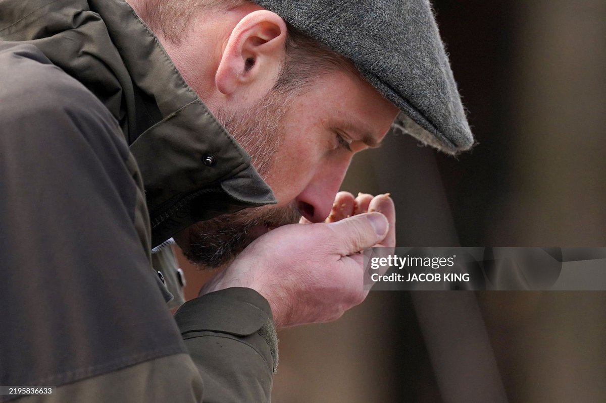 Canellecitadelle tweet media