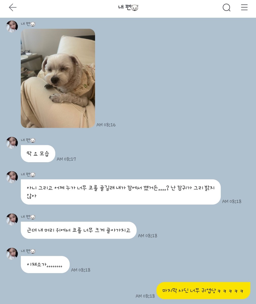 Amanda_ChaeYeon's tweet image. 체리 얼굴공격은 진짜 늘 설레😍
으힛!!!!!!!!
채리 채소도 새해복 많이 받자아아아아아아😆

#이채연 #이채리 #이채소 #새해복