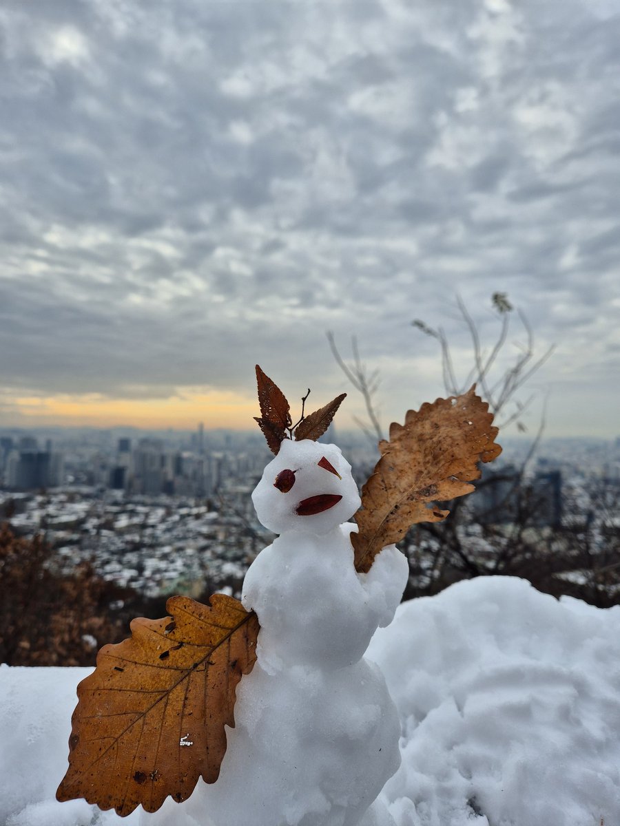 commpark's tweet image. 눈 내리면 눈과 맘이 정화되어 참 좋다~^^