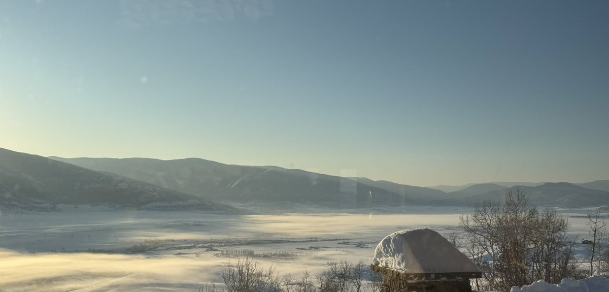 Michael T. Lawton, MD tweet media