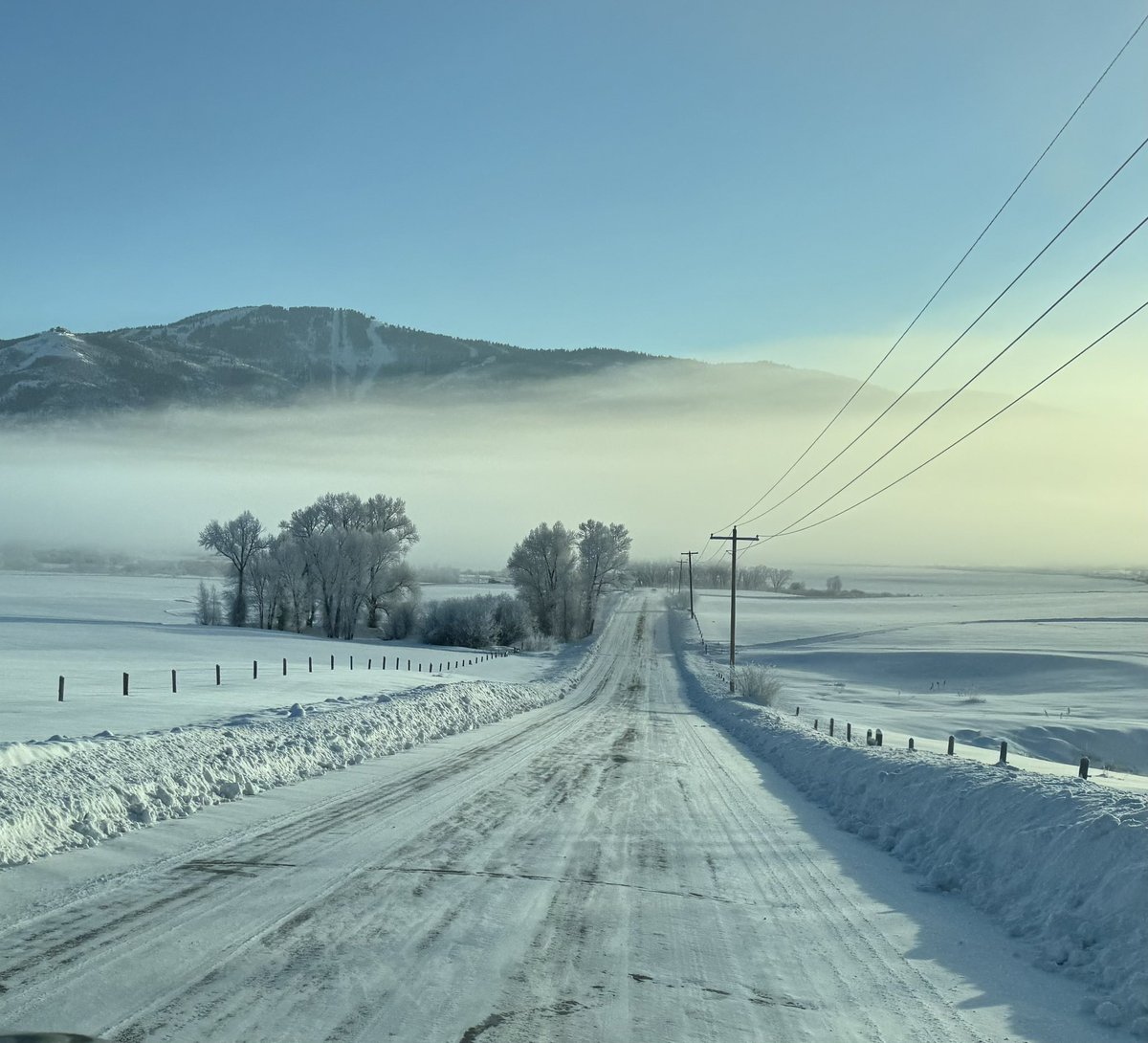 Michael T. Lawton, MD tweet media