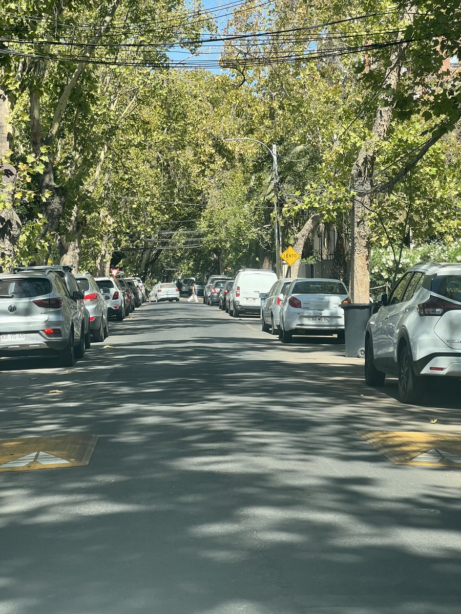 sdazar's tweet photo. @Muni_provi @jaimebellolio que pasa con la finalización del lomo de toro, llevan un mes instalándolo y hace dos semanas que no avanzan. Calle Darío Urzúa 2077 https://t.co/dFWWprqBSO