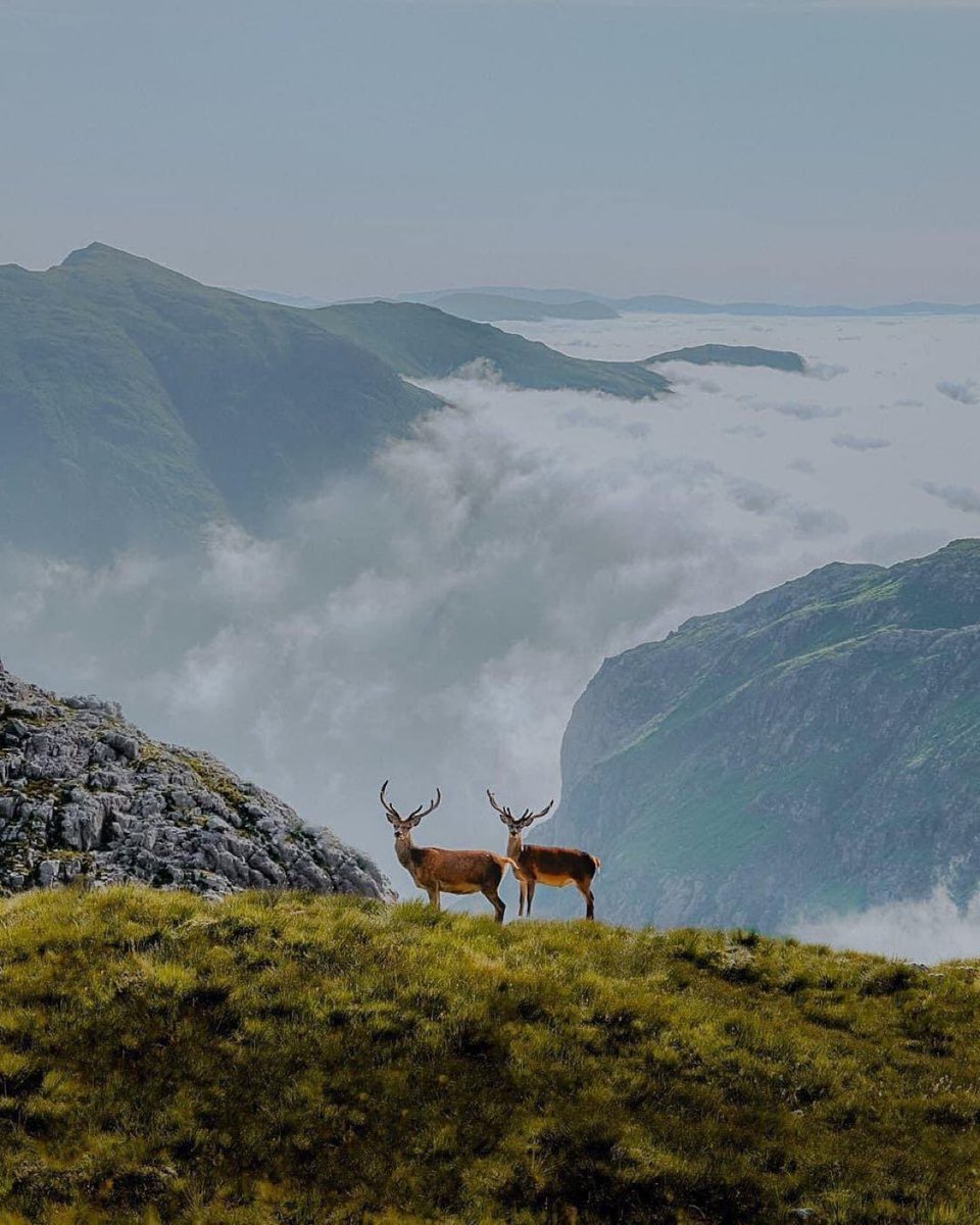 The glorious magnificence of Glencoe, Scotland 🏴󠁧󠁢󠁳󠁣󠁴󠁿

Photo credit: Pete Elliott Photography.