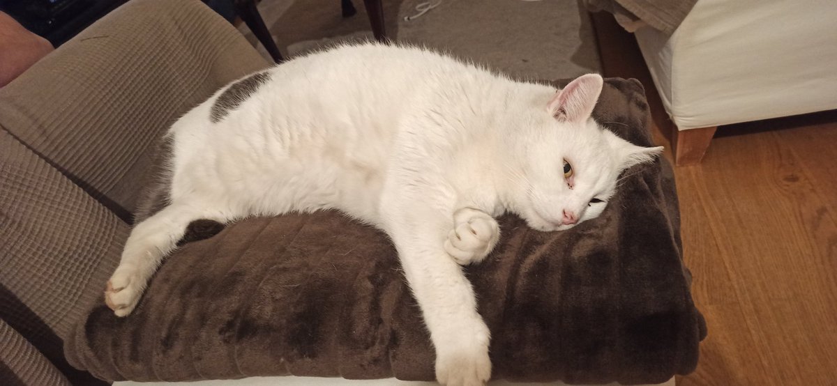 Claudia Choutouridou tweet media