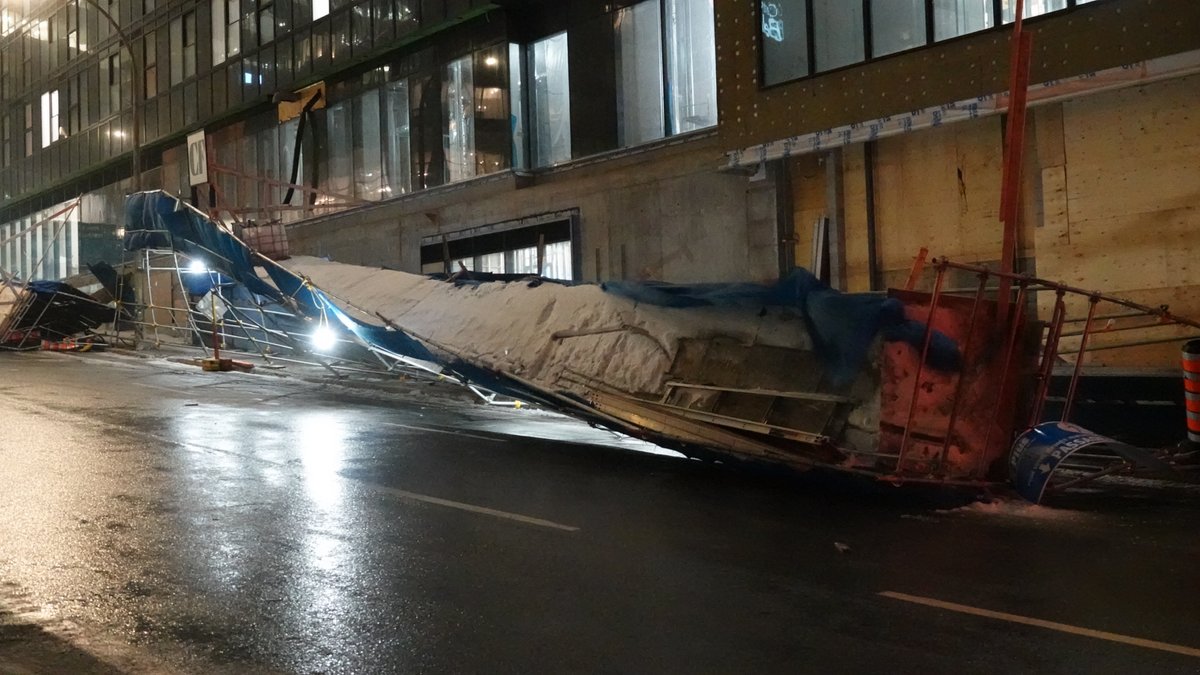 Sarah Murphy tweet media