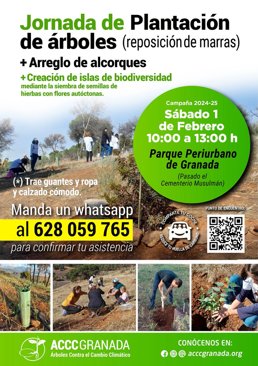 🌲🌲Árboles Contra el Cambio Climático Granada🌳🌳 (@acccgranada0) on Twitter photo 