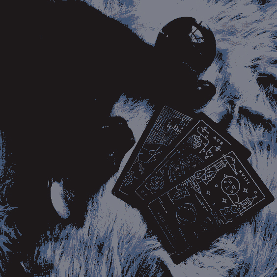 kolthewilyfox's tweet image. 𝒌𝒐𝒍 𝒎𝒊𝒌𝒂𝒆𝒍𝒔𝒐𝒏.