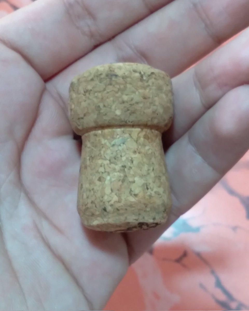 sailortutuca's tweet image. HOLA BELLA EL PLUG ECOLOGICO TE SALE 50K😍💖🍑