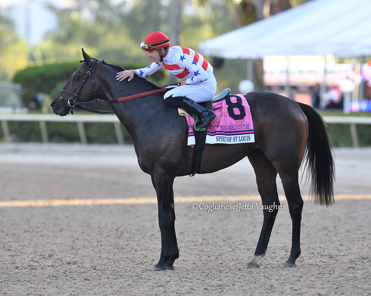 theTDN's tweet photo. #SaturdayRecap: SPIRIT OF ST LOUIS (Medaglia d'Oro) did his best Charles Lindbergh impression in Saturday's GI @PegasusWorldCup Turf Invitational Stakes, navigating his way to the front in the final strides to win by a neck at @GulfstreamPark.
Officially a millionaire, the New York-bred 6-year-old gelding secured his first victory at the Grade I level as he improved his overall record to a remarkable 10 wins and three seconds from 14 career starts.
O: @MadaketStables LLC, Michael Dubb and Richard Schermerhorn
B: Chester & Mary R. Broman
T: Chad Brown
J: @Tyler_Gaff
Read more via @EquinealTDN: https://t.co/2Qh8bkgboV