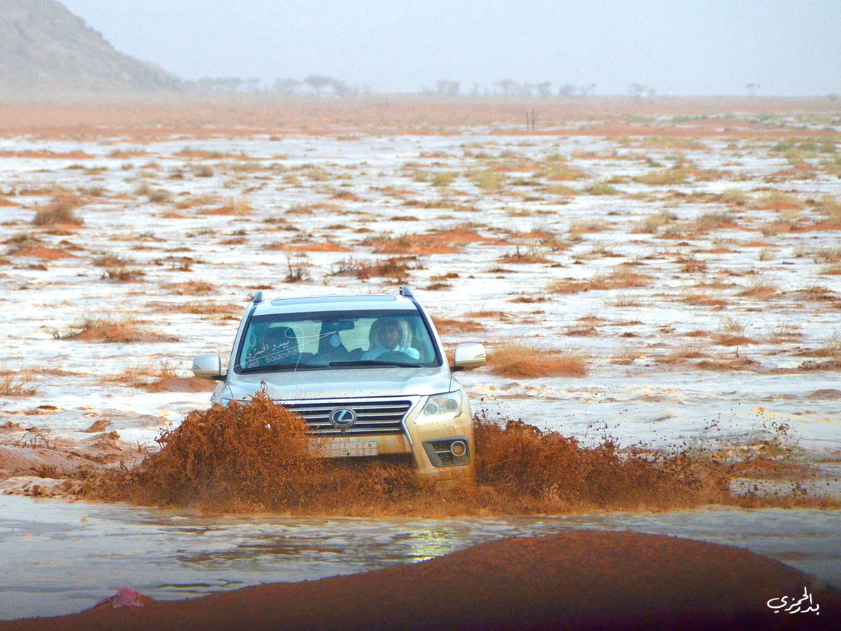 بدر الحمزي tweet media