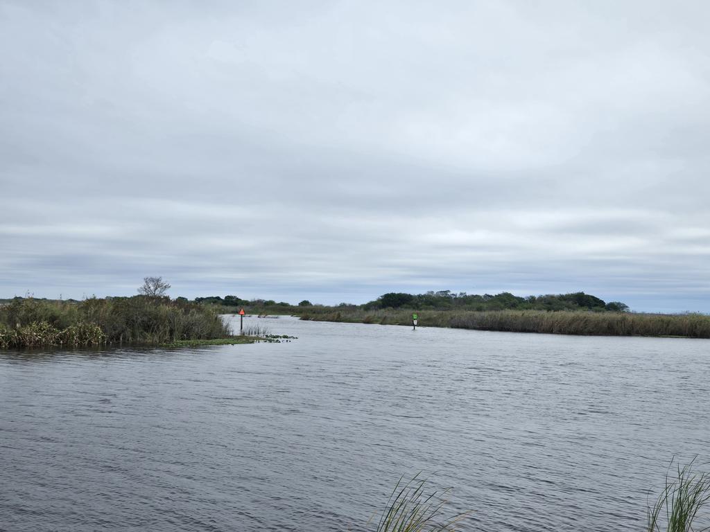 DiscoverHendry's tweet photo. And to think, tomorrow there will be so many boats out on the water for the BASS MASTER College Series Tournament! You do not want to miss all of the highlights at take-off &amp; the pride at weigh-in! January 29th &amp; 30th at Roland Martin Marina Clewiston, FL 
#discoverhendrycounty https://t.co/Dz3DOyLBMw