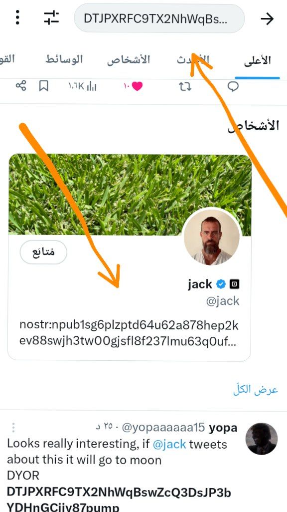 Wolf tweet media
