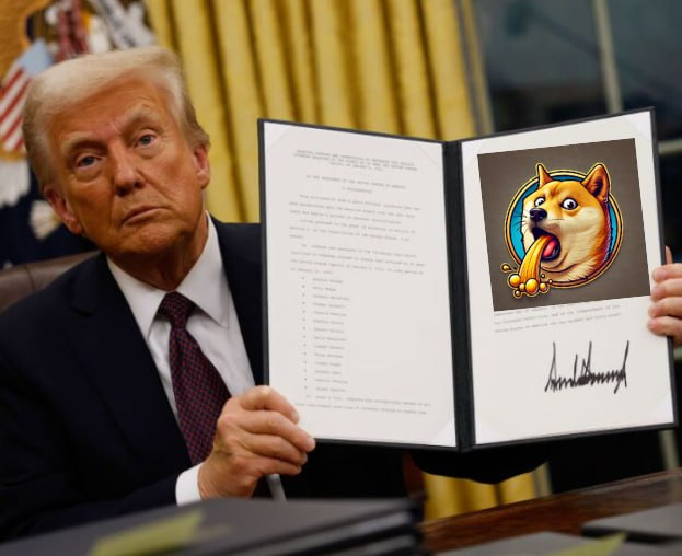 VOMDOG tweet media