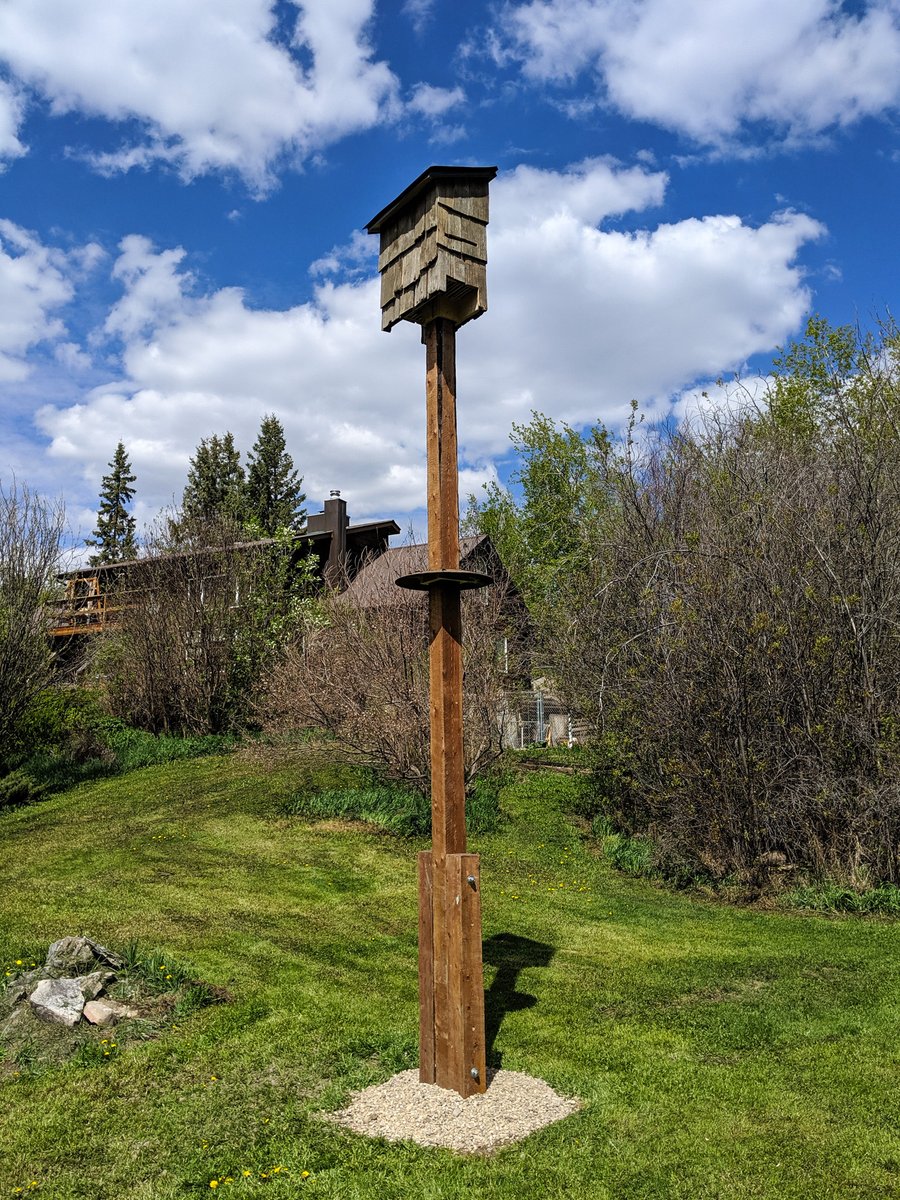 Bats need our help 🦇

Natural roosting habitats are disappearing, and man-made bat houses are becoming essential. Our new brochure provides a user-friendly guide to deploying &amp; maintaining bat houses safely &amp; effectively 🤎

📸 Cory Olson

Read more ↓ loom.ly/6zvykVg