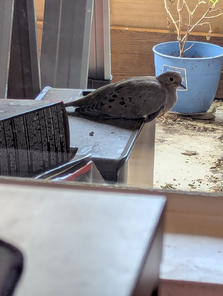 Want to take a lunch break but my supervisor is watching.