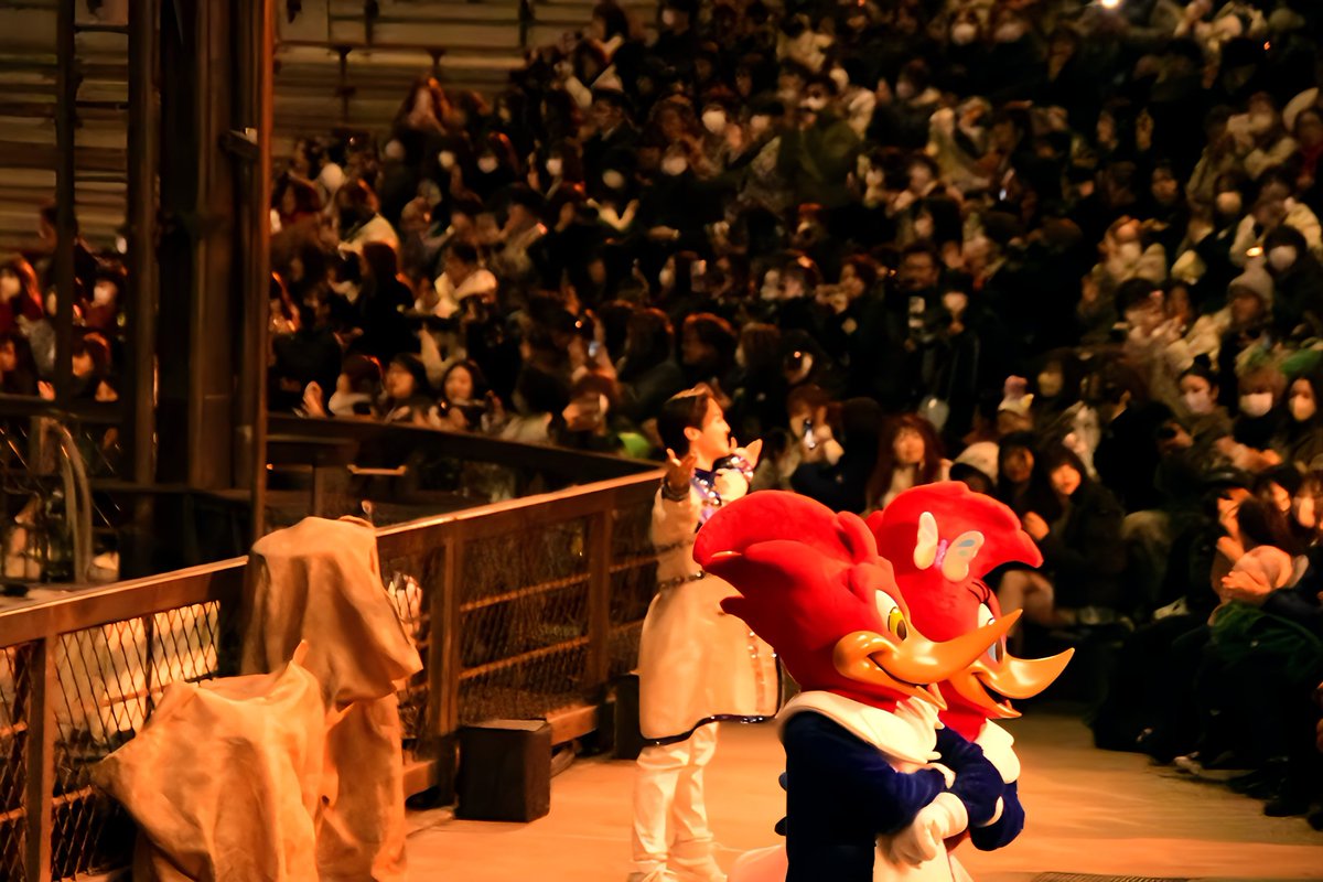 Naomifuwari's tweet image. ウッディーとウィニーちゃん見ること出来て嬉しかったー！
ショーやパレードにも出てきて欲しい🤩
#スペシャルファンナイト2025
#USJファン