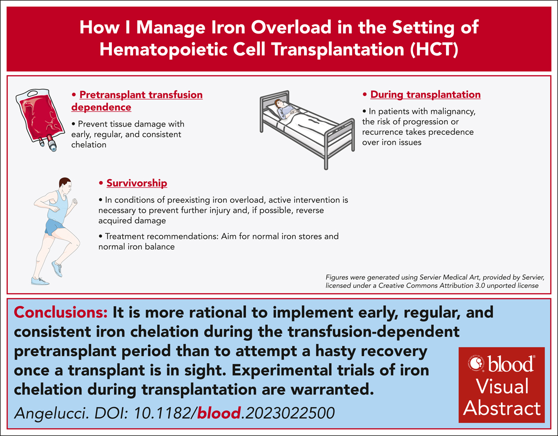 BloodPortfolio's tweet photo. How I manage iron overload in the hematopoietic cell transplantation setting
https://t.co/xl0EX9ZF0G #hematologicdisorders #howitreat #redcellsironanderythropoiesis #transplantation https://t.co/OiINYeiGea