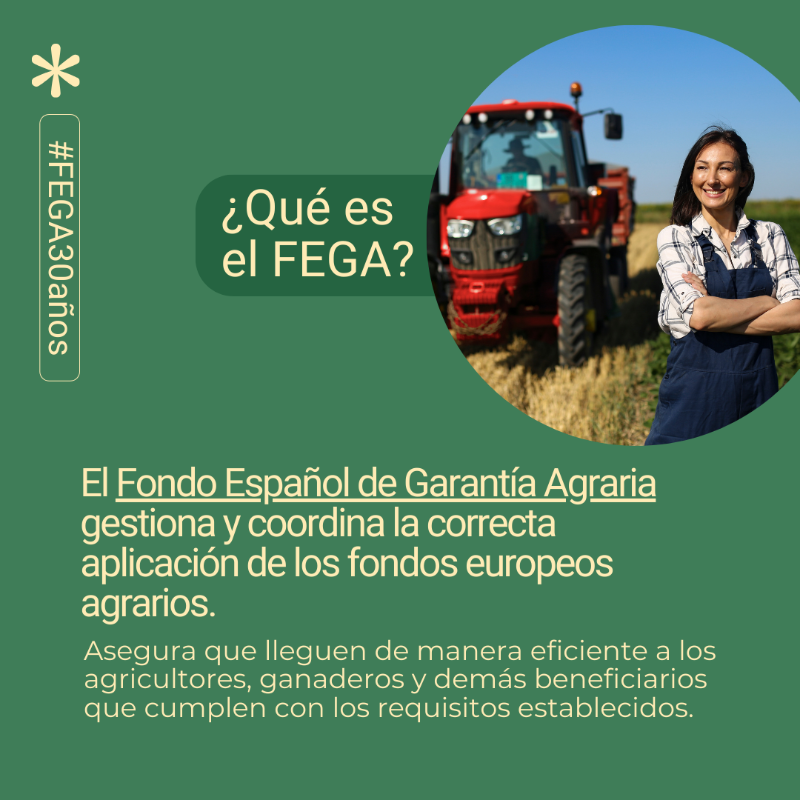 gobmapa's tweet photo. 🎉 El FEGA celebra 30 años como referente en gestión de fondos europeos agrarios.🌾

📆 Cada mes, destacaremos su trayectoria y su inquebrantable compromiso con el sector agroalimentario español. 

🔔 Síguenos con el hashtag #FEGA30años para saber más.