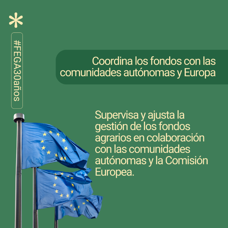 gobmapa's tweet photo. 🎉 El FEGA celebra 30 años como referente en gestión de fondos europeos agrarios.🌾

📆 Cada mes, destacaremos su trayectoria y su inquebrantable compromiso con el sector agroalimentario español. 

🔔 Síguenos con el hashtag #FEGA30años para saber más.