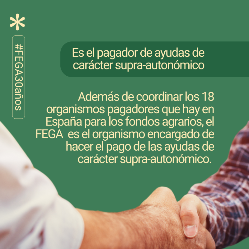 gobmapa's tweet photo. 🎉 El FEGA celebra 30 años como referente en gestión de fondos europeos agrarios.🌾

📆 Cada mes, destacaremos su trayectoria y su inquebrantable compromiso con el sector agroalimentario español. 

🔔 Síguenos con el hashtag #FEGA30años para saber más.