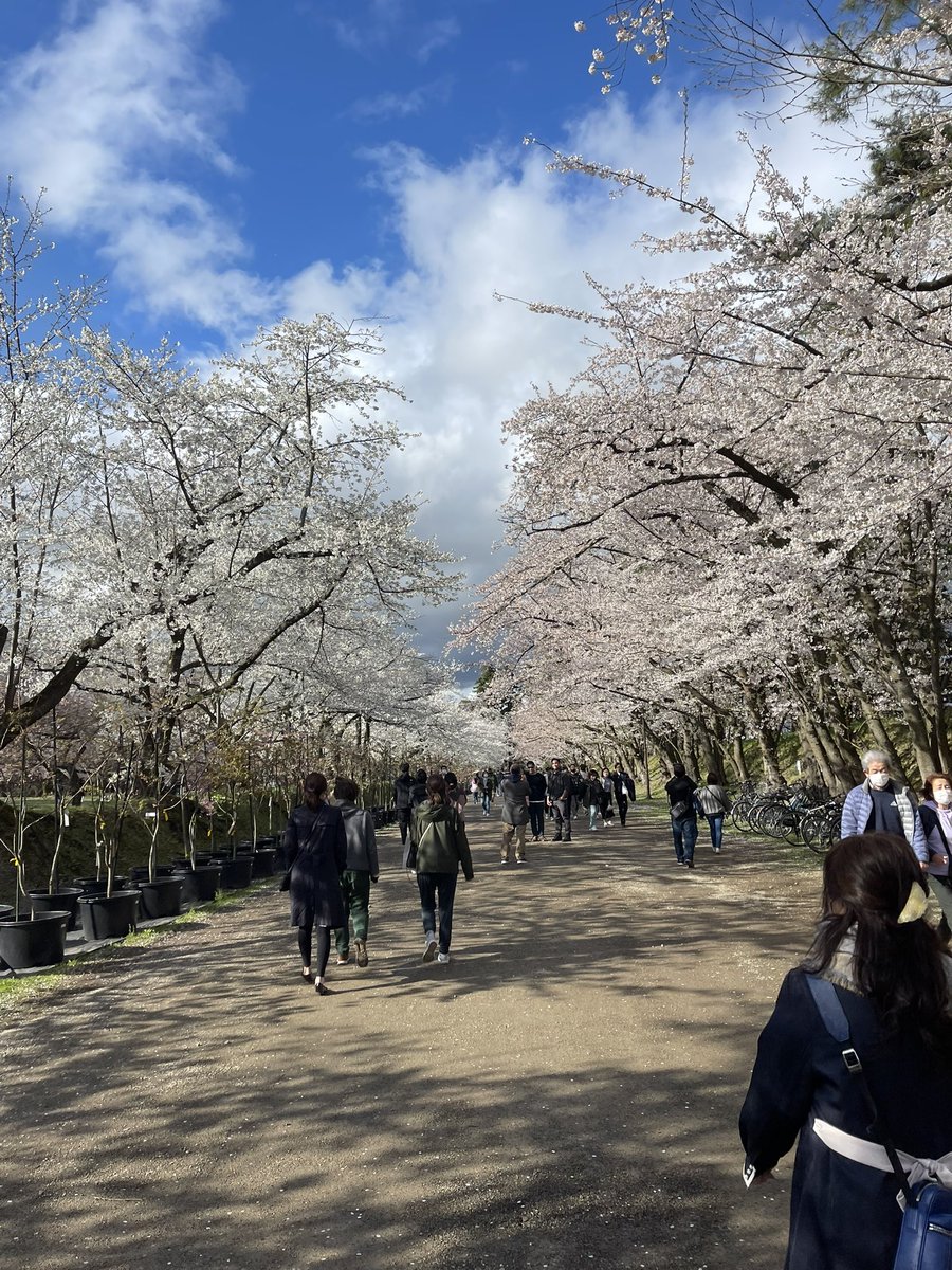 _kayleaaaa's tweet photo. 📍 Hirosaki Castle https://t.co/8ksQwC9J6M