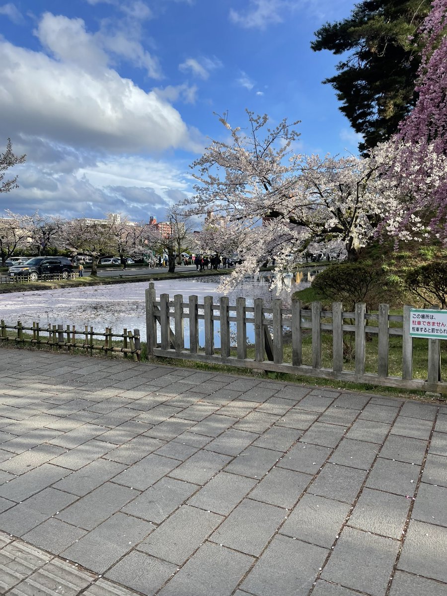 _kayleaaaa's tweet photo. 📍 Hirosaki Castle https://t.co/8ksQwC9J6M