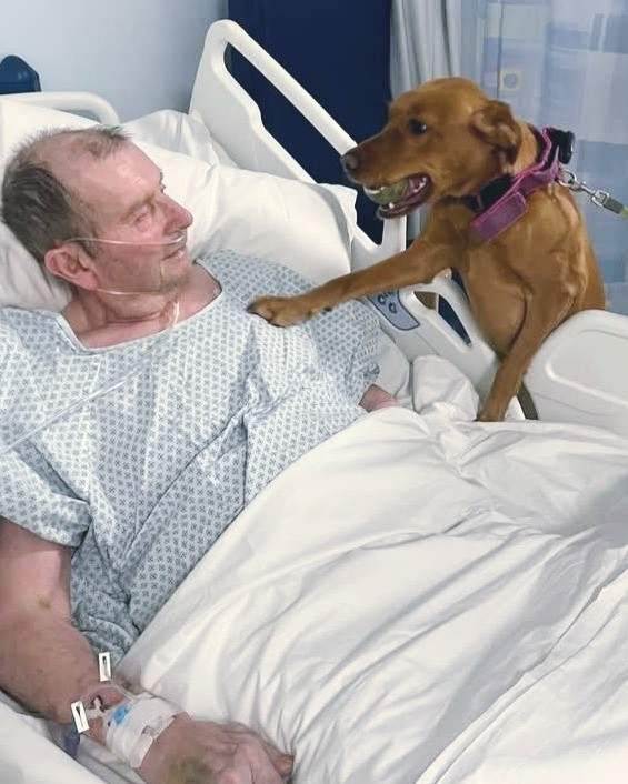 Worcestershire Acute NHS tweet media