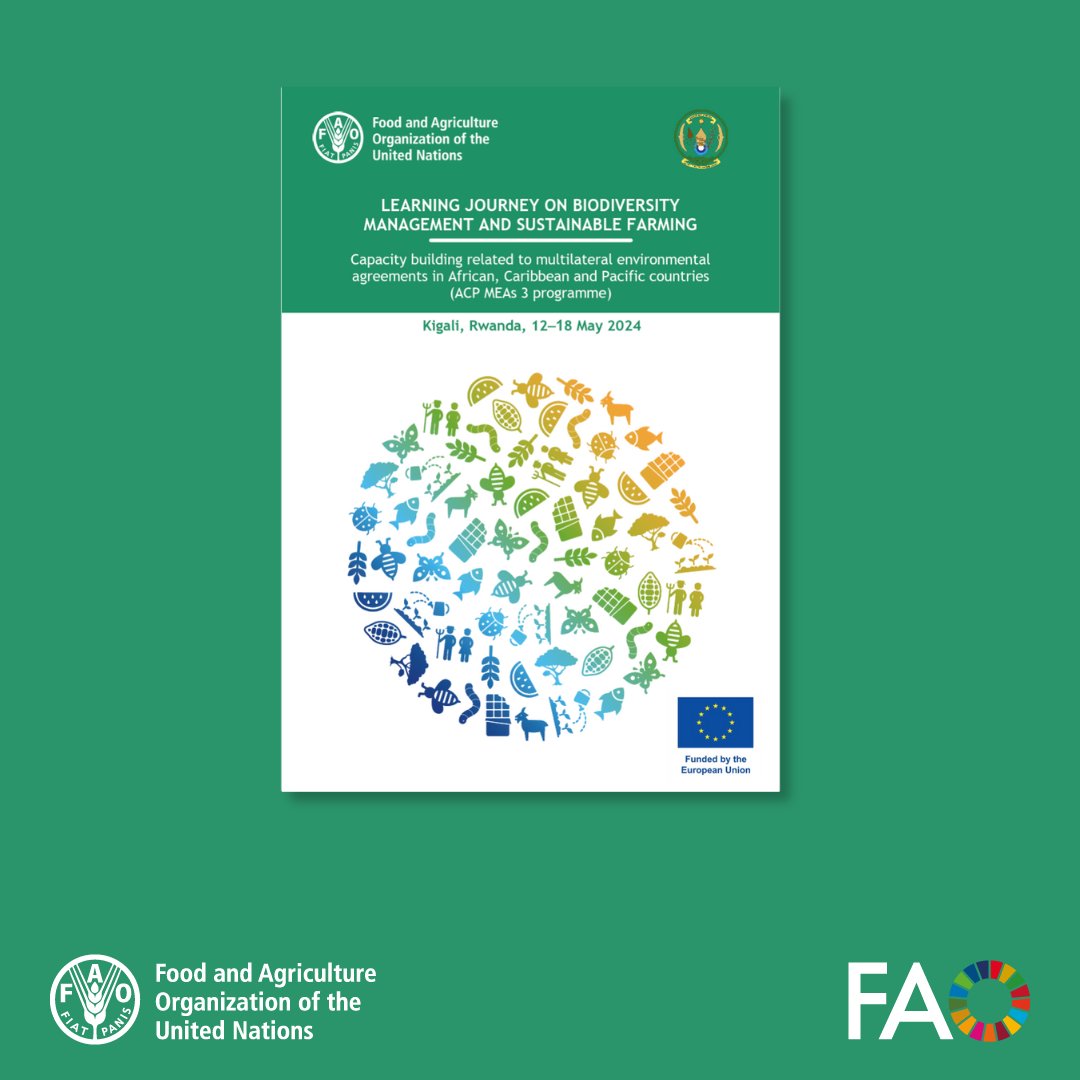 FAOKnowledge's tweet photo. Sustainable farming is key to Rwanda’s agriculture-dependent economy. 🇷🇼🌱

@FAO’s new guide showcases Farmer Field Schools' successes in biodiversity management, from integrated pest control to local seed restoration.

Explore the lessons learned 🔗 https://t.co/EgkhCGYiZq https://t.co/TgY87WLLol