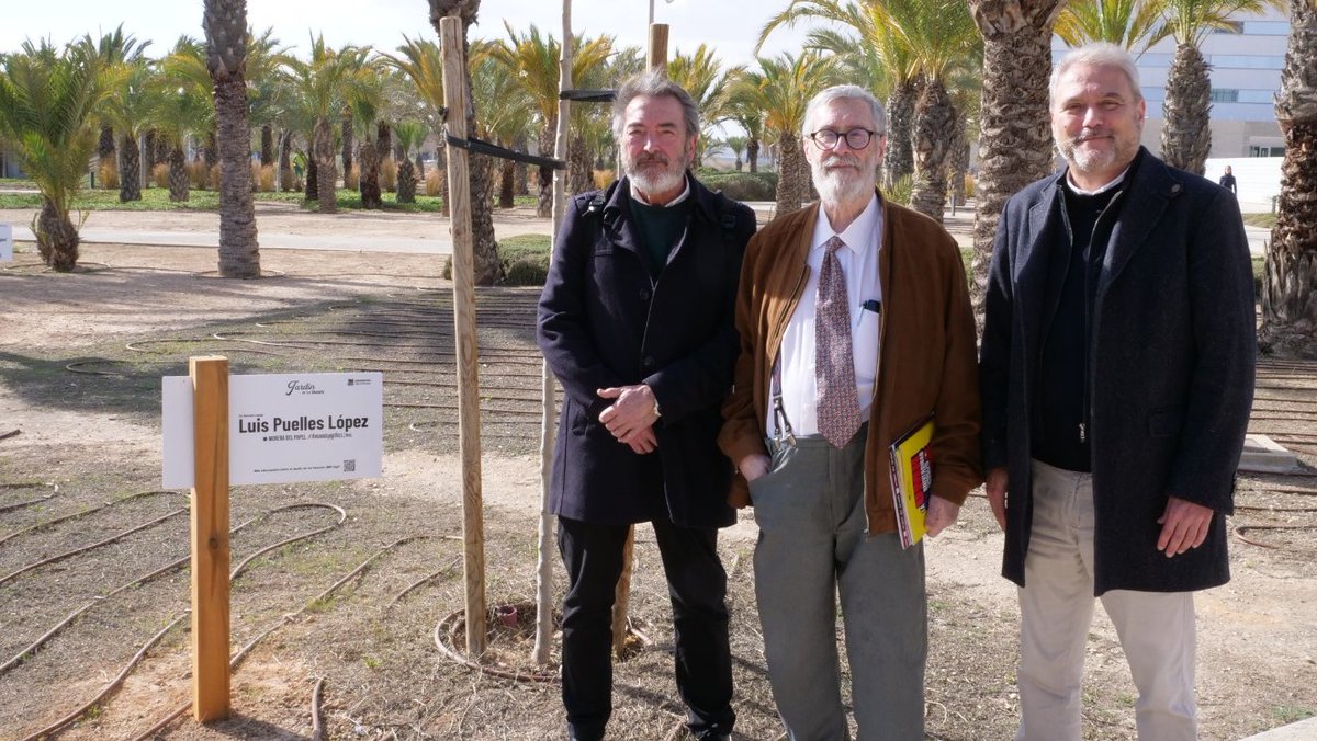 🎓🏅 El neuroembriólogo y anatomista Luis Puelles ha sido nombrado Doctor #HonorisCausaUMH durante la festividad de Santo Tomás de Aquino.

🌱 Además, Luis Puelles ha inaugurado en el Jardín de los Honoris del campus de Elche un árbol con su nombre. En concreto, ha elegido un