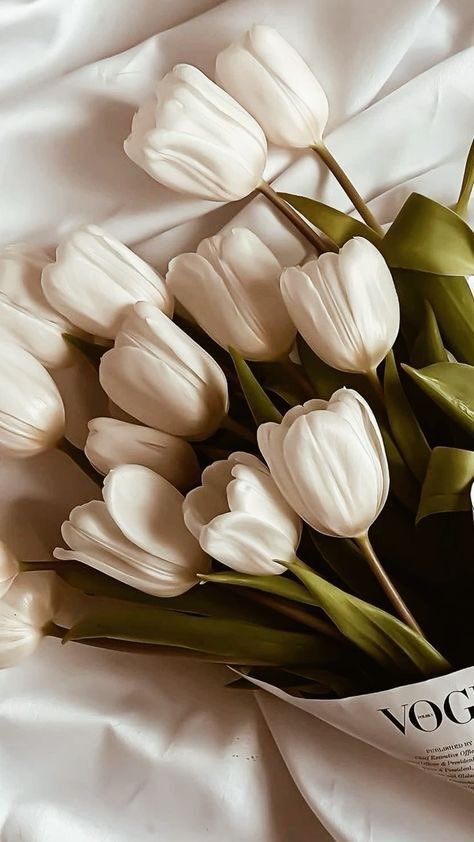 NAWAL 🦋 (@3mnpmf) on Twitter photo <a href="/Pickwn/">مطهبلهم</a> <a href="/Orphans2580/">ياسمين عبده</a> <a href="/saleh_bash_90/">SALEH BASH</a> <a href="/afnan23232/">أَفْنَان🦩🤍</a> <a href="/kasercom192/">أديب العبيدي</a> <a href="/memo59918836/"> اميره</a> <a href="/511_Aa996/">هادئة🕊️..</a> <a href="/Eileen8895/">ꫀꪶꫀꫀꪀ⭐ إيلين</a> <a href="/ko__5678/">خُطى .(( أم فراس))</a> تم الاستلاااام الله يسسعد قلبك 🤍🤍 <a href="/Pickwn/">مطهبلهم</a> <a href="/Orphans2580/">ياسمين عبده</a> <a href="/saleh_bash_90/">SALEH BASH</a> <a href="/afnan23232/">أَفْنَان🦩🤍</a> <a href="/kasercom192/">أديب العبيدي</a> <a href="/memo59918836/"> اميره</a> <a href="/511_Aa996/">هادئة🕊️..</a> <a href="/Eileen8895/">ꫀꪶꫀꫀꪀ⭐ إيلين</a> <a href="/ko__5678/">خُطى .(( أم فراس))</a> تم الاستلاااام الله يسسعد قلبك 🤍🤍