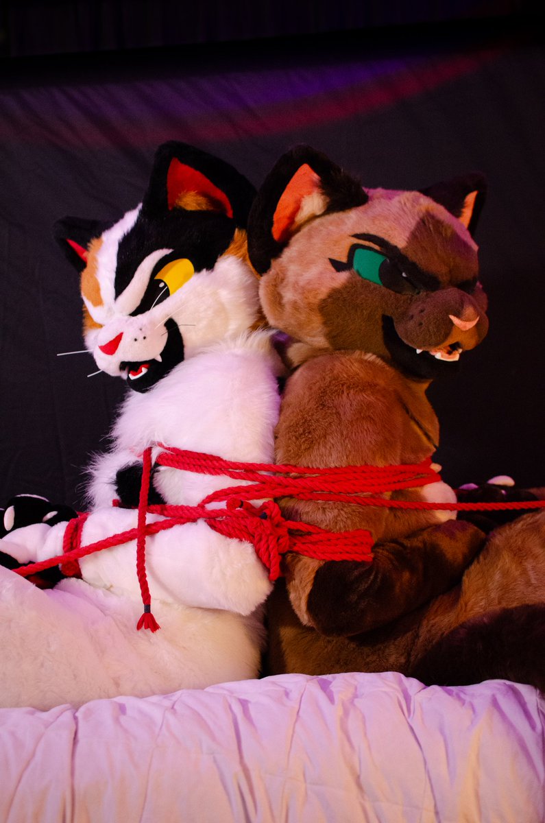 The trans/woman shibari photos are out just in time for #TiedUpTuesday !!!

We made sure these shitty kitties couldn't cause anymore mischief!

🪢: <a href="/Saturdaii/">𐂂 sͩaͤtͤuͬrdaii 𐂂 🔜 AFC</a>
📸: <a href="/colfox_/">𝘾𝙤𝙡</a> 
More photos on 🦋