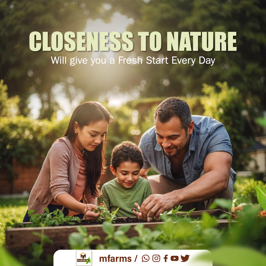 MFarms5's tweet photo. A close connection to nature brings a new beginning with each sunrise

#mfarms #farmhouse #farmland #mangofarm #mangofarmland #getaway #farmliving #weekendvibes #weekendgetaway #Holidays #nature #naturelover https://t.co/2ABNIKriK2