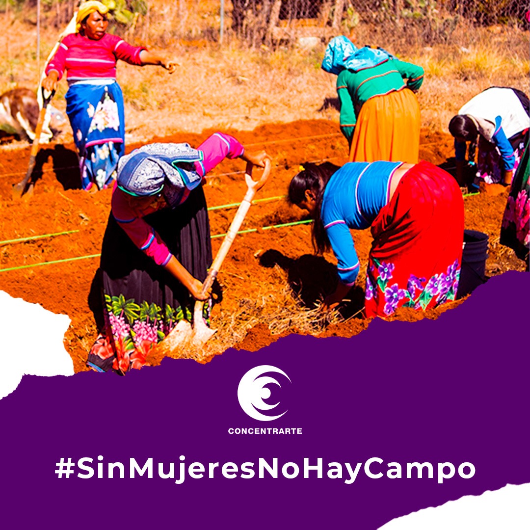 Desde hace 20 años, en Concentrarte buscamos lograr esta realidad. Queremos celebrar y agradecer a todas las mujeres que han sido parte de nuestros proyectos de Soberanía Alimentaria.
.
.
.
.
#20Aniversario #ODS17 #SinMujeresNoHayCampo #ReduciendoDesigualdades
