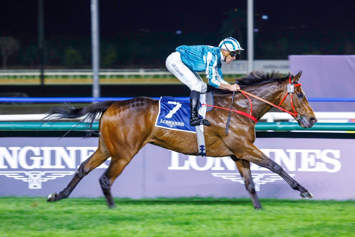 ✨ Romantic Warrior
✨ Laurel River
✨ Sierra Leone
✨ Goliath
✨ Forever Young
✨ Ushba Tesoro
✨ Danon Decile
✨ Rebel's Romance

The 2025 #DubaiWorldCup nominations have been released! 

 dubairacingclub.com/media/press-re…