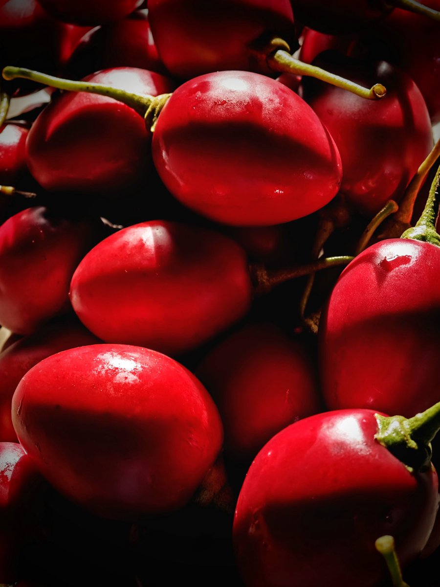 Solanum betaceum. Tomate de árbol.#cosechas #mawa