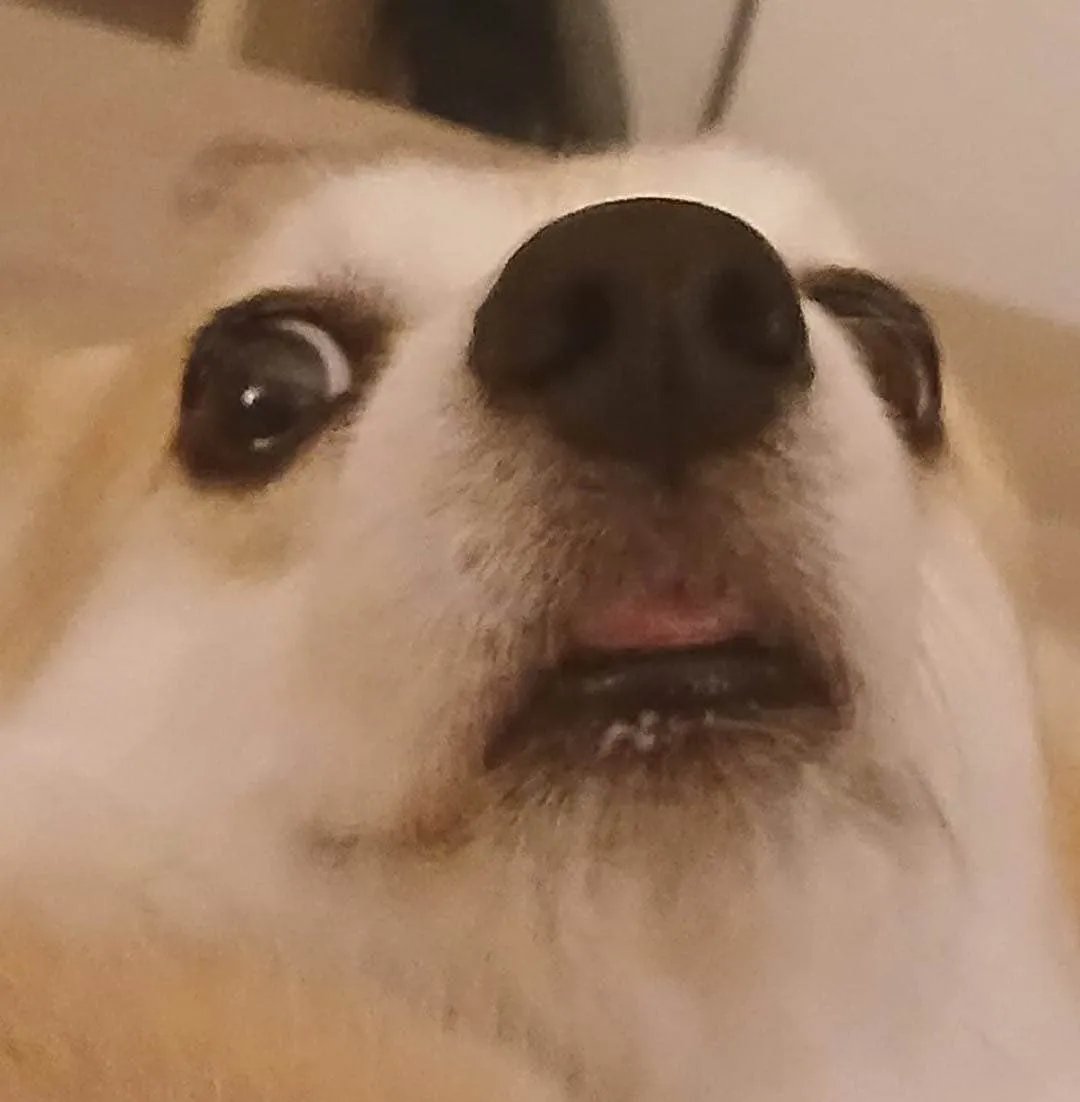 wishlist the game or else  
 store.steampowered.com/app/306910/Pro…