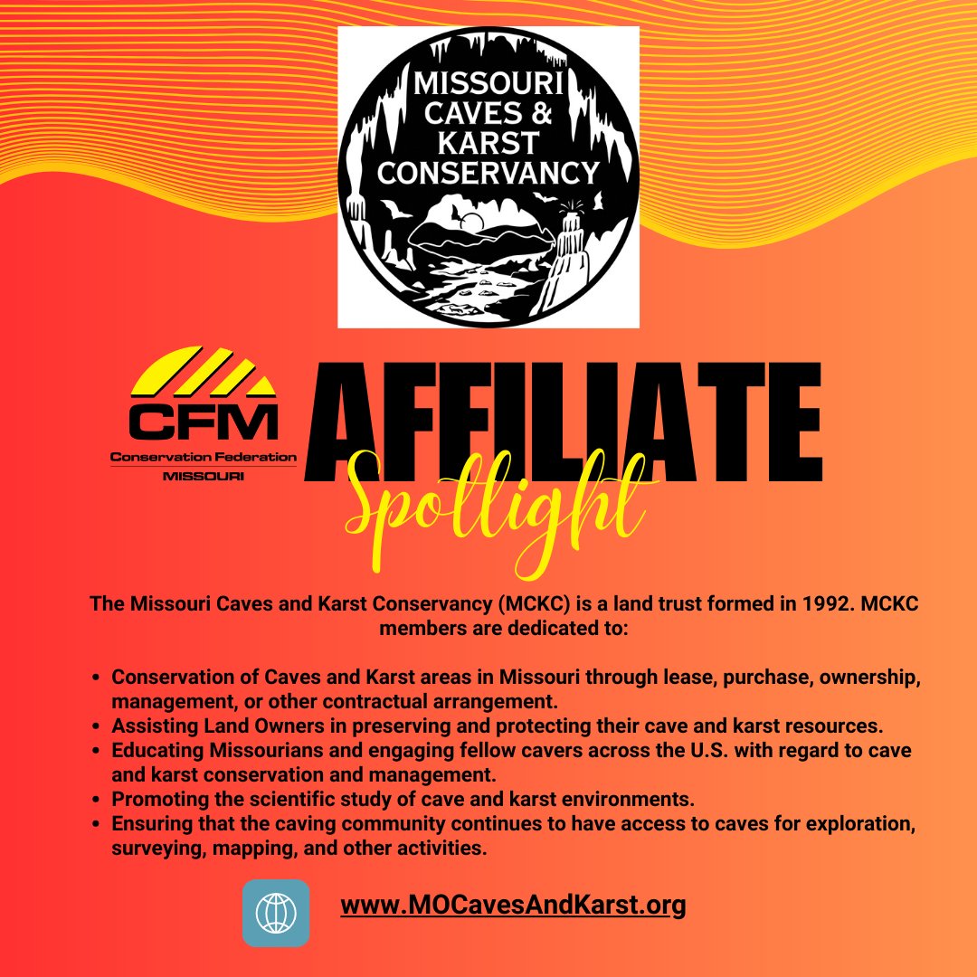 Affiliate Spotlight: Missouri Caves and Karst Conservancy

Learn more at MOCavesAndKarst.org