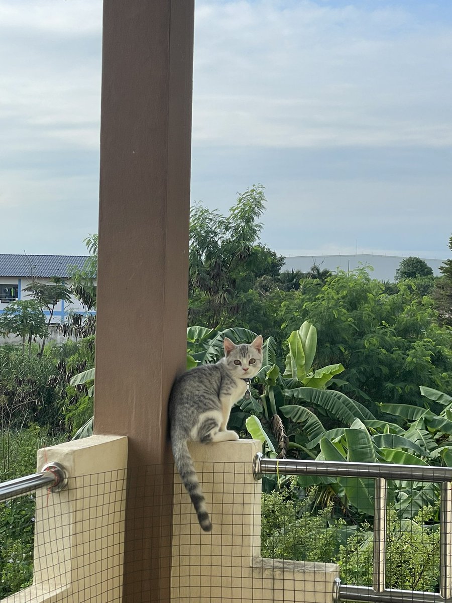 ตามหาลูกสะใภ้1อัตรา
#บ่อวิน #มาบยางพร22 #สะพานสี่ #ปลวกกแดง #หนองก้างปลา