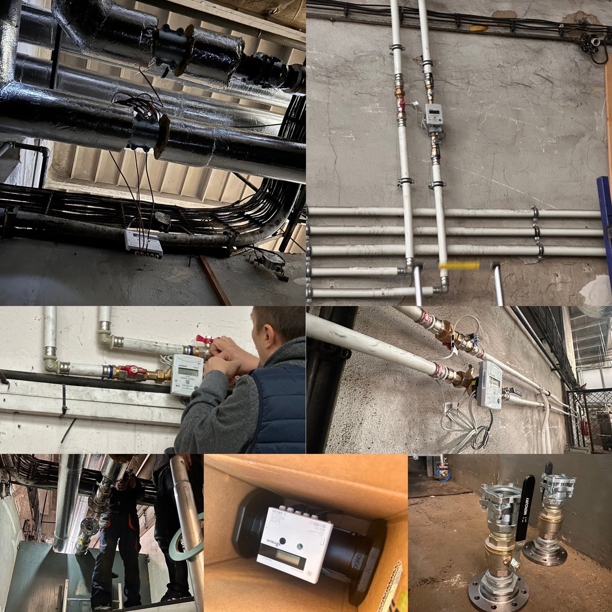 Heliotics🎈 tweet media