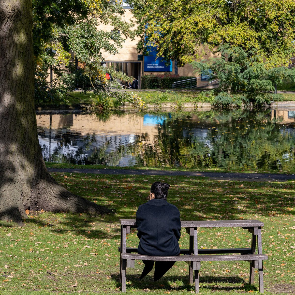 The University of Roehampton, through the lenses and eyes of AVR (Square Portrait).