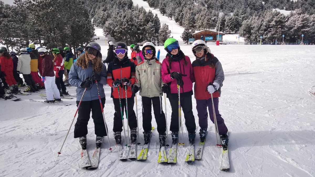 Institut Vilamajor tweet media