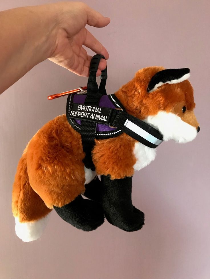 Somi (@ogxsomi) on Twitter photo 