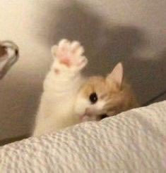 得能勇志 tweet media