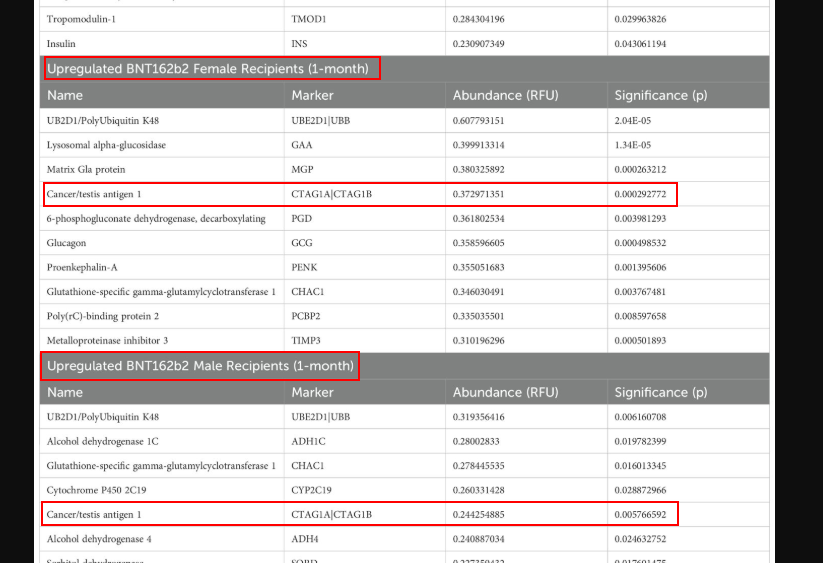 VaccineMole's tweet photo. 🔥CABOOM!!

New study just pub 27 Jan 2025 by cancer researchers reveals blood from donors who received Pfizer mRNA COV-19 vaccines,but not Moderna,showed upregulated CTA  tumor associated antigens in all recipients analysed, one month after 3rd booster!

Cancer-testis antigens (CTAs) are tumor antigens normally expressed in the male testes but aberrantly expressed in several cancers

CTAs are generally upregulated in response to DNA hypomethylation, a common feature of cancer cells..
 
Now, why are CTA's upregulated only in recipients of Pfizer mRNA vaccines, and why are sequences from the SV40 virus, known to cause cancer, found exclusively in Pfizer mRNA COVID-19 vaccines?

I'm sure it's just a coincidence. so, i'll stop right here...

Source:
https://t.co/v1qIDQlwrJ