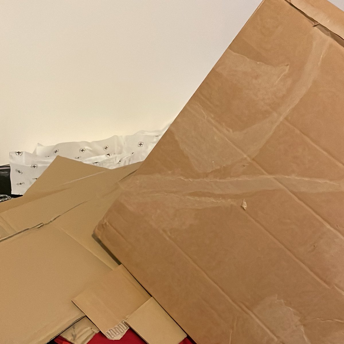 Ary du Plumeau🐾 tweet media