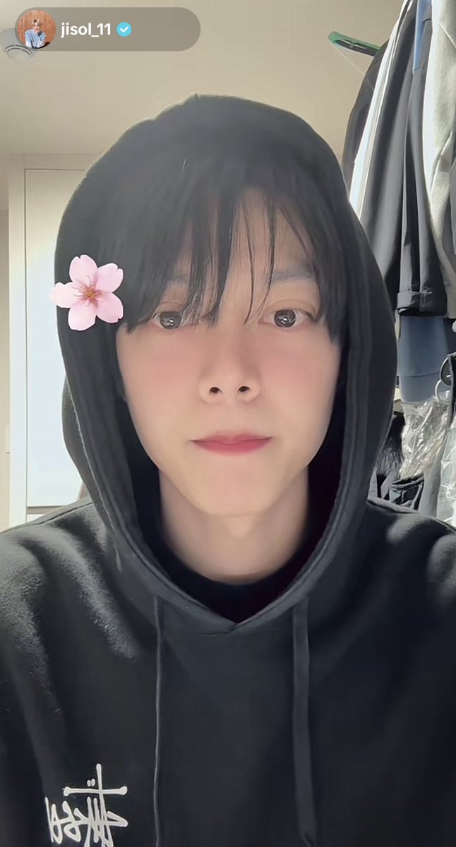mo_ojito's tweet photo. so pretty 🫠🌸 https://t.co/DT68xGP3gv