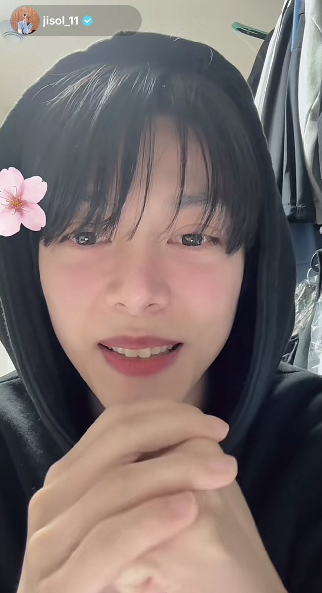 mo_ojito's tweet photo. so pretty 🫠🌸 https://t.co/DT68xGP3gv